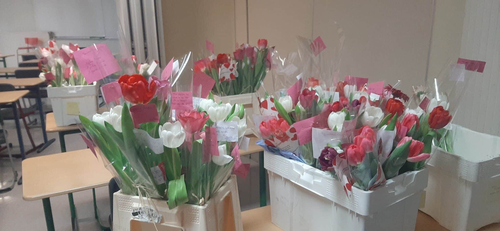 20260213 092955 scaled