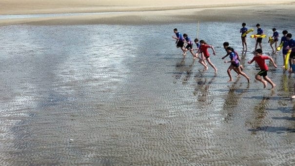 royan